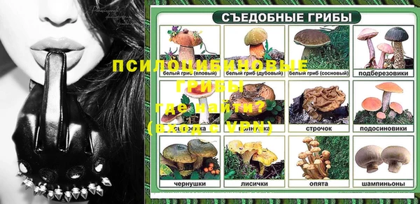 амф Гусев