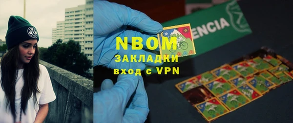 прущие грибы Гусь-Хрустальный