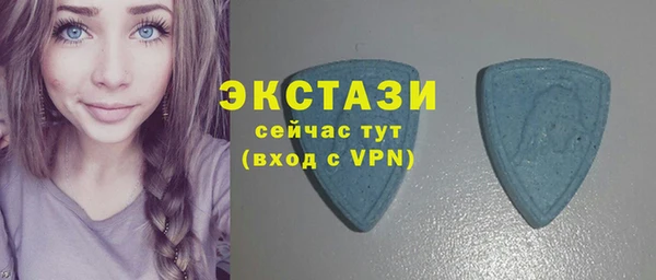 амф Гусев