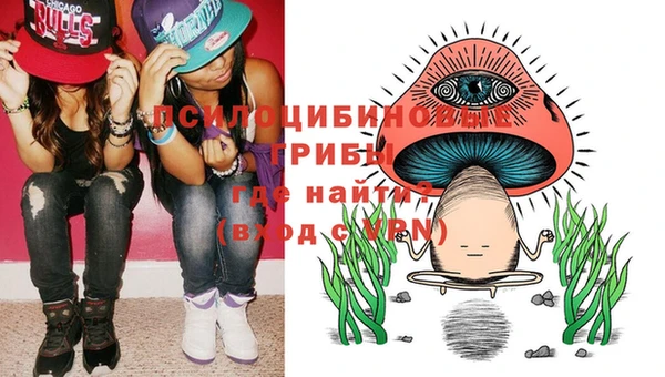 амф Гусев