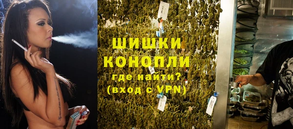 амф Гусев
