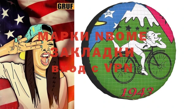 амф Гусев