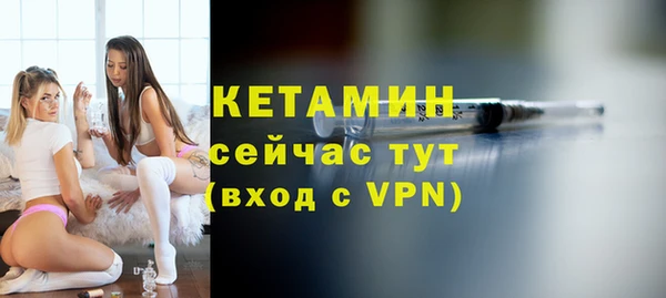 амф Гусев