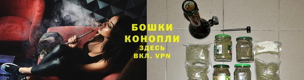 прущие грибы Гусь-Хрустальный