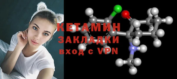 прущие грибы Гусь-Хрустальный