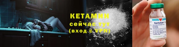 амф Гусев