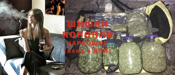 прущие грибы Гусь-Хрустальный