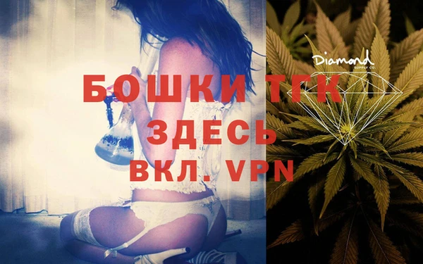 прущие грибы Гусь-Хрустальный
