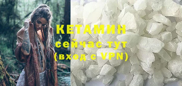 амф Гусев