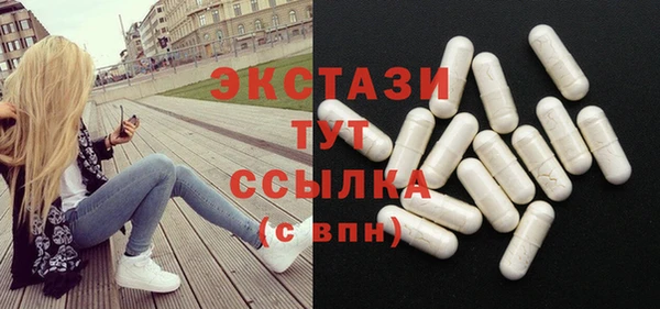 амф Гусев