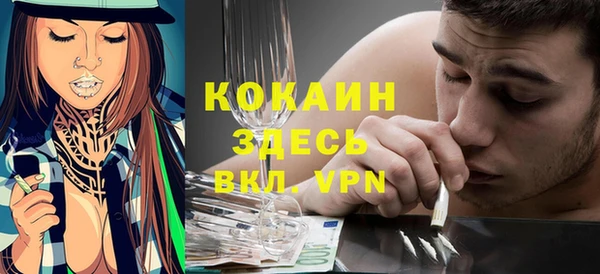 прущие грибы Гусь-Хрустальный