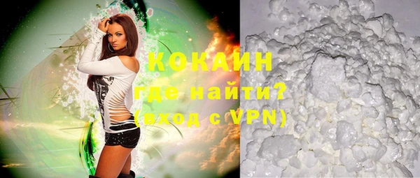 прущие грибы Гусь-Хрустальный