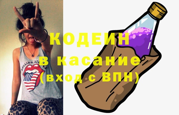 амф Гусев