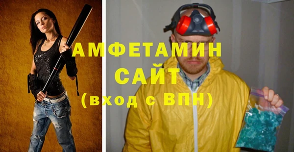прущие грибы Гусь-Хрустальный